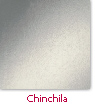 chinchila